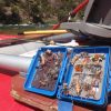 Small Waterproof Flybox - Magnetic and Foam